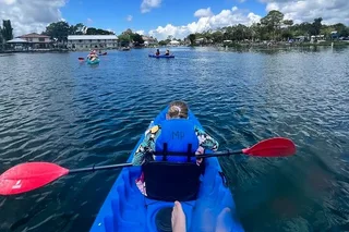 Crystal River Tandem Kayak Rental with Manatees 3 hr