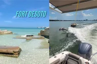 Tampa Bay Island Cruise and Dolphin Tour thumbnail 2