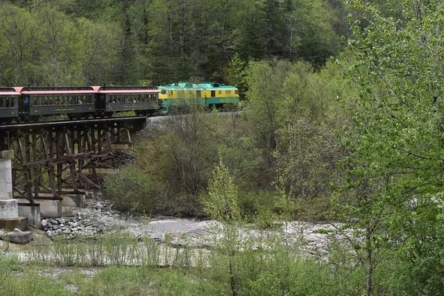 Skagway City Tour and White Pass Summit Adventure - Image 5