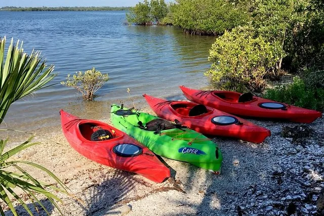 New Smyrna Beach Kayak Dolphin Eco Tour 2 hr - Image 3