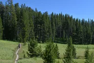 Yellowstone Hike to Lake Shoshone (Private) thumbnail 1