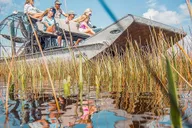 Miami Everglades Airboat Tour & Wildlife Show thumbnail 1