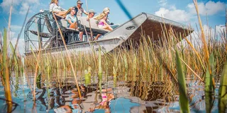 Miami Everglades Airboat Tour & Wildlife Show