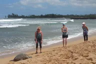 Oahu Convertible Tour of South and North Shores thumbnail 5