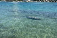 Jupiter Paddleboard Tour thumbnail 3