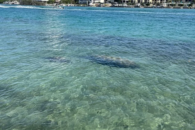 Jupiter Paddleboard Tour - Image 3