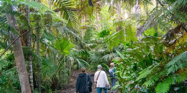 Kona Cloud Forest Sanctuary Guided Walk - Image 4