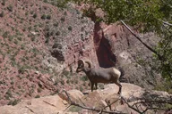 Phoenix Grand Canyon Day Tour thumbnail 5