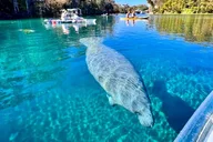 Silver Springs Glass Bottom Kayak Tour thumbnail 2