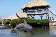 Florida Keys Private Transportation Service thumbnail 5