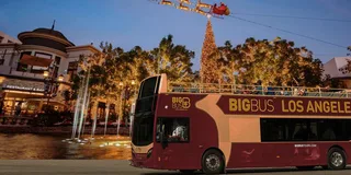 Los Angeles Holiday Lights Tour with Festive Drink