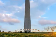 Washington DC Private Walking Tour of Downtown and White House thumbnail 5