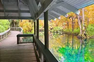 Silver Springs Jungle Kayaking and Paddleboarding thumbnail 6