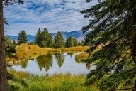Jackson Yellowstone Private Tour & Hike thumbnail 1