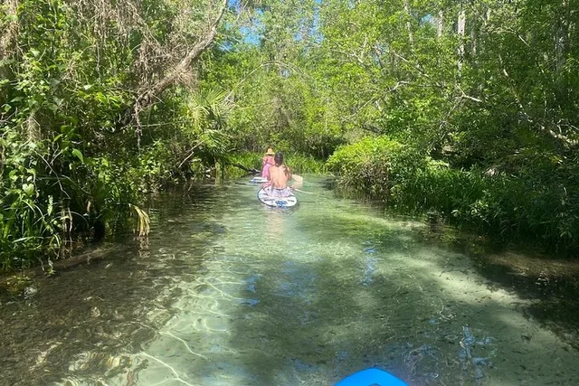 Rainbow Springs Electric Paddle Board Rental - Image 5