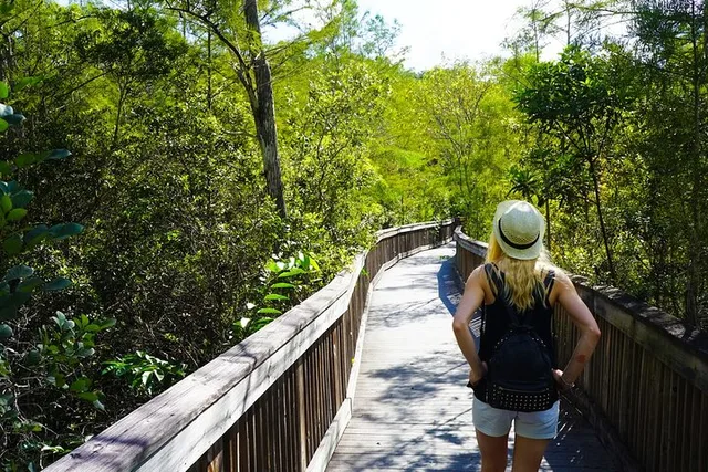 Miami Big Cypress Audio Tour - Image 6