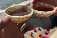 Santa Barbara Nature Trail Hike and Tea Ceremony thumbnail 3