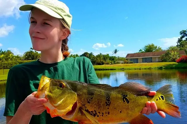 Key Largo Peacock Bass Fishing Trip - Image 4