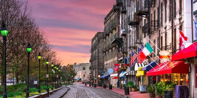 Savannah Historical Panoramic City Tour - Image 2