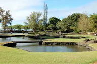 Hilo Volcanoes and Waterfalls Private Tour thumbnail 4