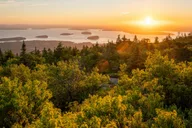 Acadia National Park Private Tour with Cadillac Mountain thumbnail 4