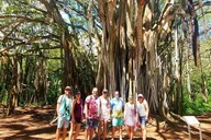 Oahu Circle Island Private Tour thumbnail 6