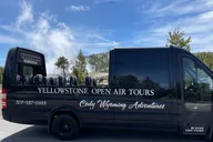 Yellowstone Open Air Glass Top Van Tour with Lunch thumbnail 2