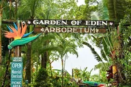 Maui Tropical Rainforest Small Group Tour thumbnail 4