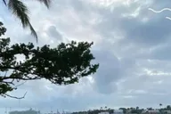 Miami Beach Clear Kayak Tour and LED Glow Experience thumbnail 4