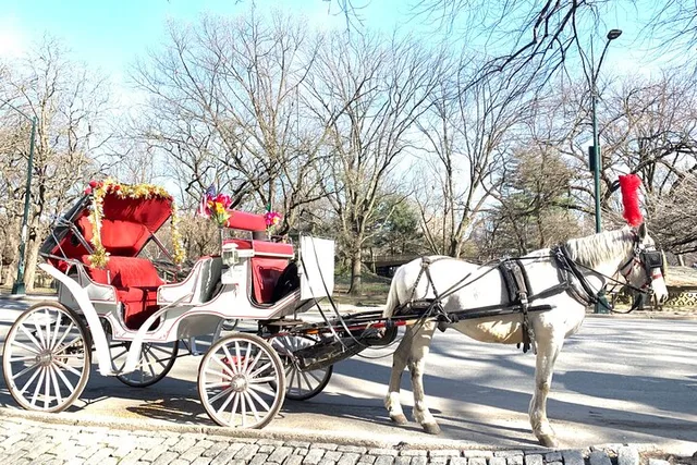 New York Central Park Horse Carriage Ride - Image 5
