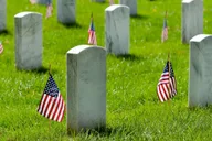 Arlington Cemetery Tour with Changing of the Guard 2.5 hr thumbnail 2