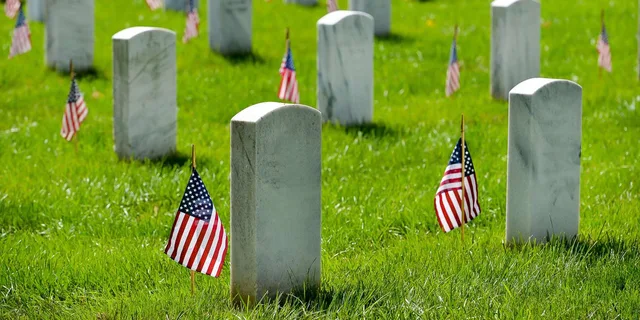 Arlington Cemetery Tour with Changing of the Guard 2.5 hr - Image 2