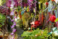 San Francisco Gregangelo Museum Art Garden Tour thumbnail 5