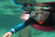 Crystal River Swim with Manatees Tour thumbnail 1