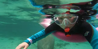 Crystal River Swim with Manatees Tour