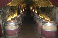 Napa Wine Country Tour in Crossover SUV thumbnail 4