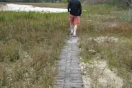 Amelia Island Road Tour thumbnail 6