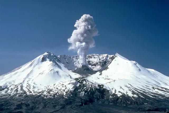 Seattle Mt. St. Helens National Park Tour - Image 1