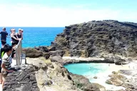 Oahu Convertible Tour of South Shore thumbnail 6