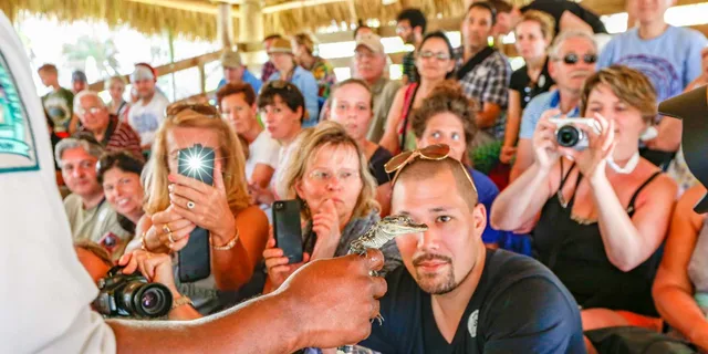 Miami Everglades Park, Bus & Yacht Tour - Image 6