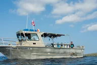Maui Scuba Diving Introductory Lesson from Lahaina thumbnail 4