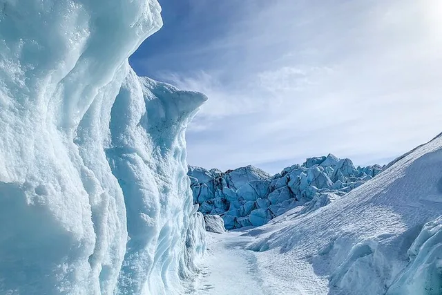 Anchorage Matanuska Glacier Tour 8 hr - Image 6