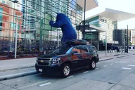 Vail to Denver Airport Private Car Service thumbnail 5