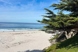 Pacific Coast Private Tour: Big Sur & Hearst Castle 3-Day