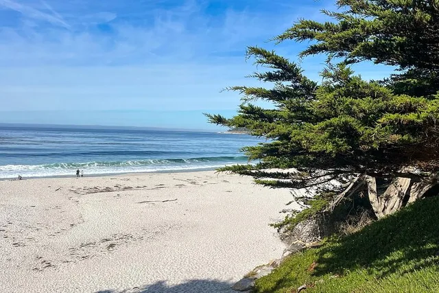 Pacific Coast Private Tour: Big Sur & Hearst Castle 3-Day - Image 1