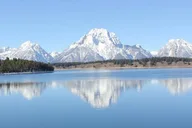 Jackson Hole Winter Wildlife Tour thumbnail 4