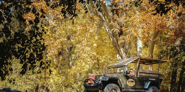 Sedona Oak Creek Canyon Jeep Tour 1.5 hr - Image 4