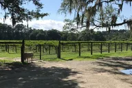 Charleston Distillery and Brewery Chauffeured Tour 6 hr thumbnail 5