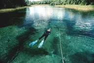 Florida Rainbow River Snorkel or Dive thumbnail 2