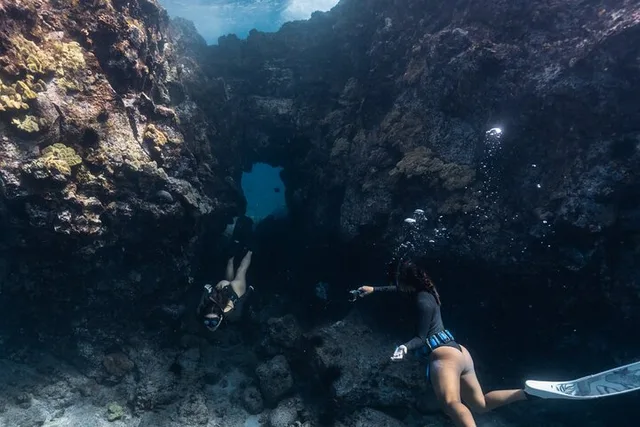 Kealakekua Bay Snorkel and Dolphin Watch - Image 3